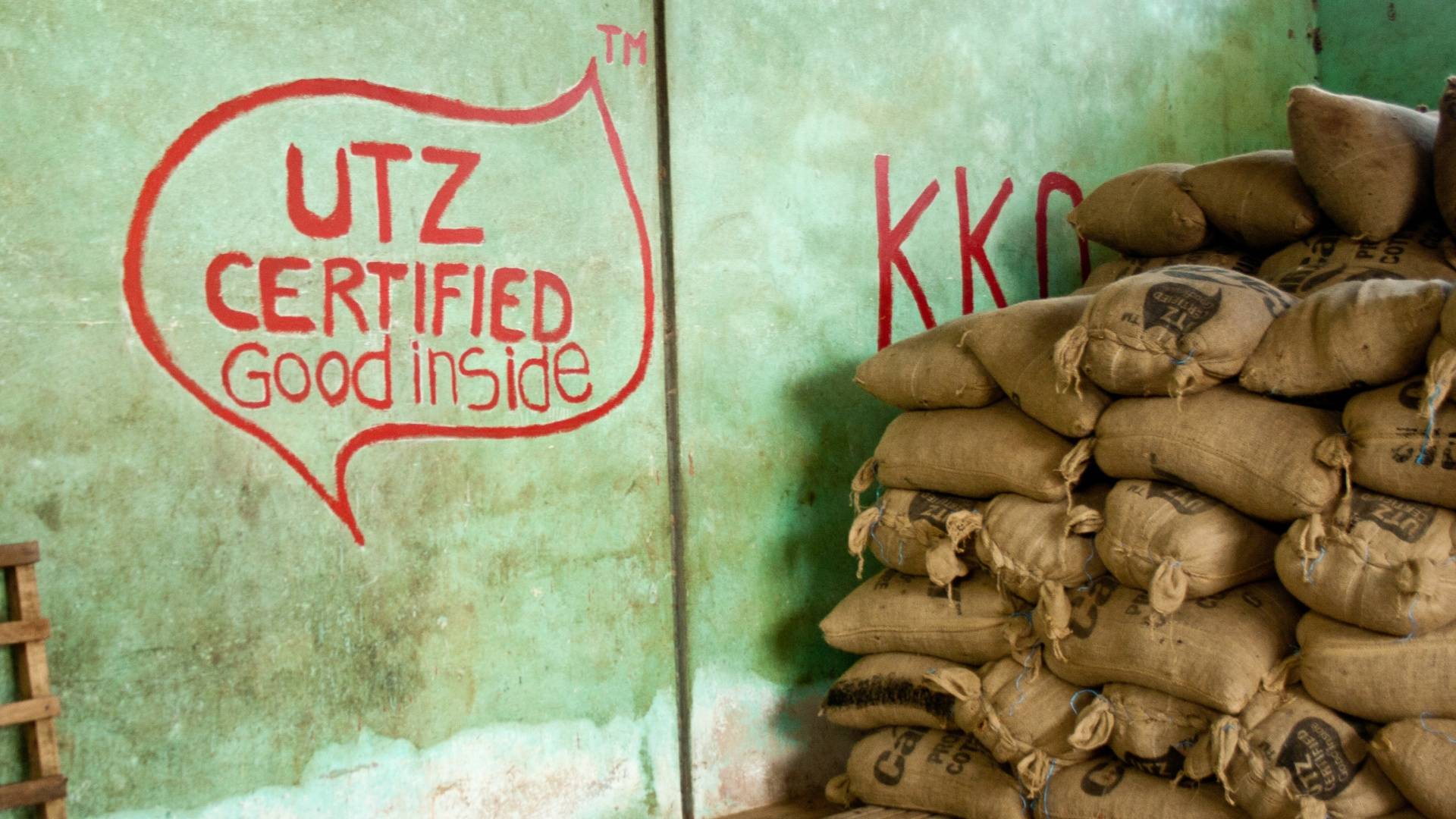 UTZ, sustainable harvesting